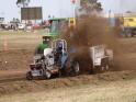 geelong show 08_137